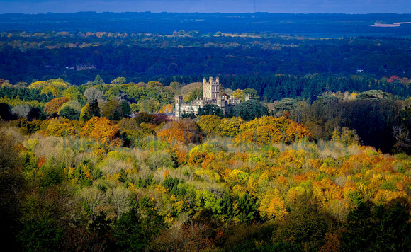 44-0220A Beacon Hill - Highclere Castle - Donnington