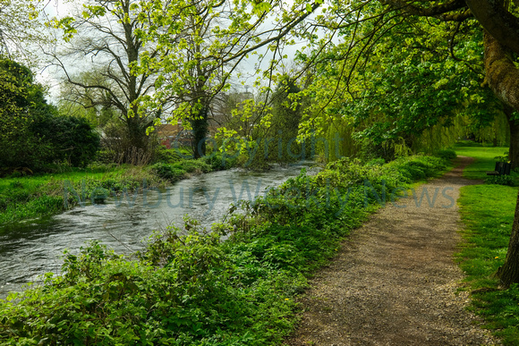 NWN 15-0124 D River Kennet