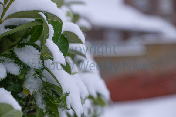 04-0821P Snow - Newbury