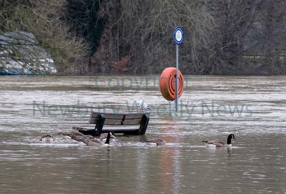 05-0321B Flood - Pangbourne River Thames