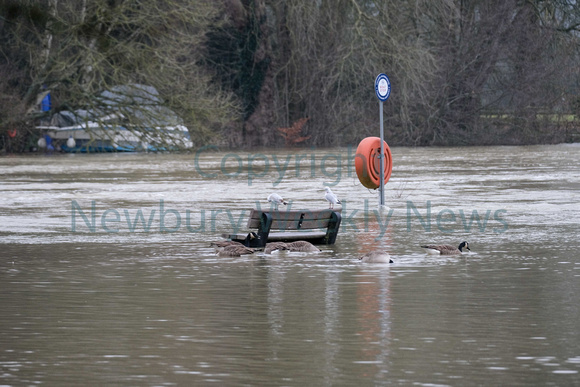05-0321D Flood - Pangbourne River Thames