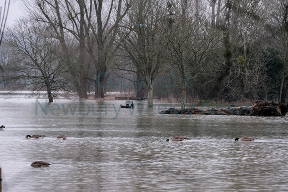 05-0321F Flood - Pangbourne River Thames