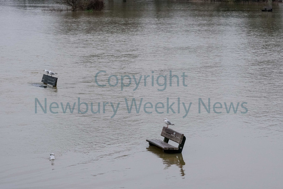 05-0321U Flood - Pangbourne River Thames