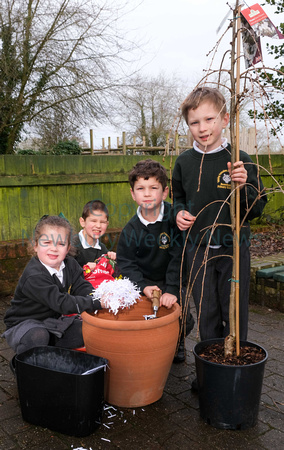 05-1321A Beenham School - Tree Planting