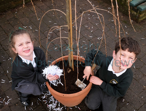05-1321C Beenham School - Tree Planting