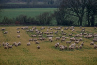 06-0121C Sutton Farming