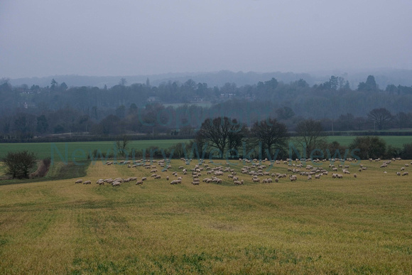 06-0121D Sutton Farming