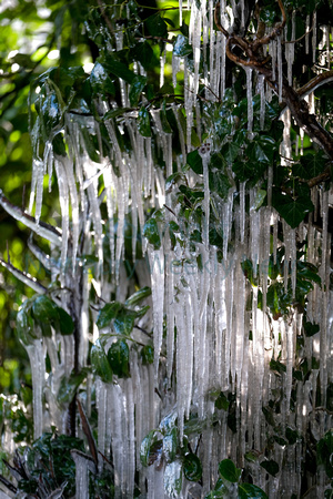07-0521M icicles - Woodspeen