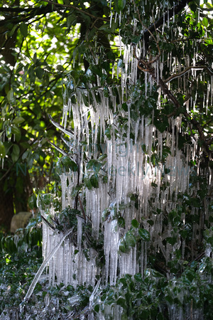 07-0521N icicles - Woodspeen