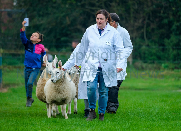 NWN 37-0124G Newbury Show