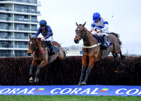 NWN 52-0424C Newbury Racecourse - Challow Hurdle Day