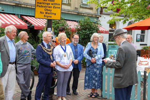 NWN 34-0124G Newbury Blue Plaque - Plaza