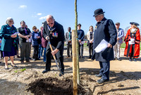 NWN 15-0125L Thatcham VE Day memorial trees