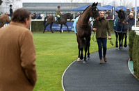 NWN 07-0225J Newbury Races