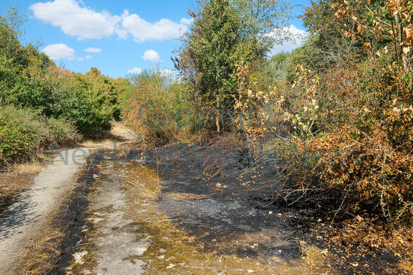31-1522F Fire in woodlands Thatcham