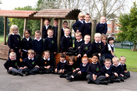 FC 1708a Fir tree PS