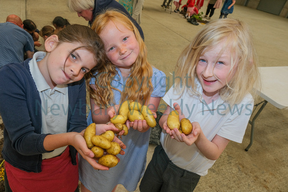 24-1722K Newbury Showground - potato day