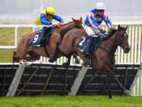 NWN 07-0225E Newbury Races