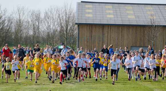 12-0522A School Cross Country year 3-4