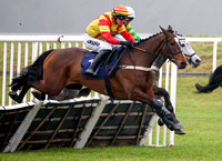 NWN 07-0125E Newbury Races